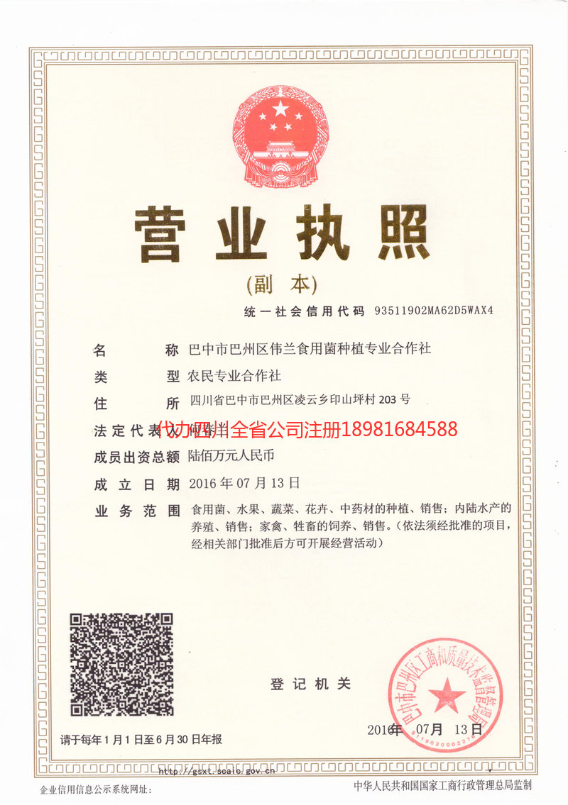 丹东丹东伟兰食用菌种植专业合作社